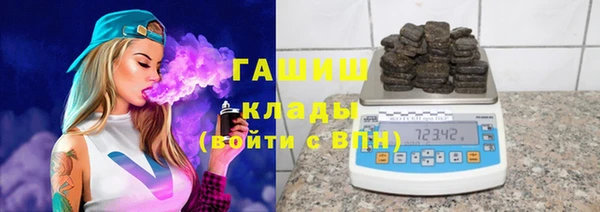 тгк Ельня