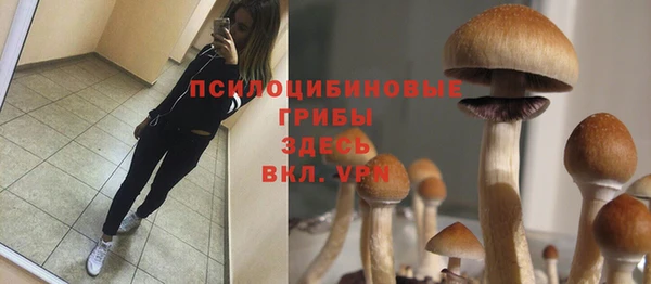 шишки Медногорск