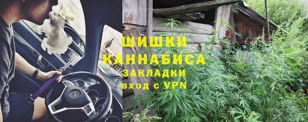 шишки Медногорск