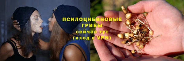 шишки Медногорск