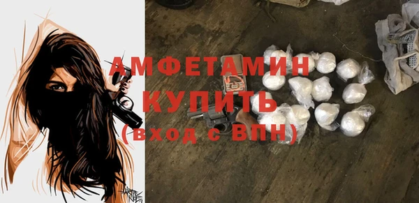 шишки Медногорск