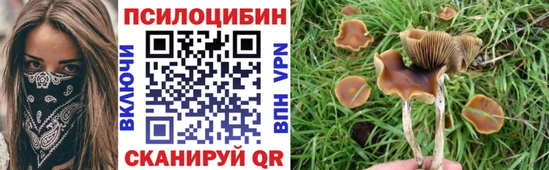 Галлюциногенные грибы MAGIC MUSHROOMS  OMG зеркало  Крымск 