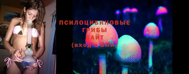 Псилоцибиновые грибы Psilocybine cubensis  как найти   Крымск 