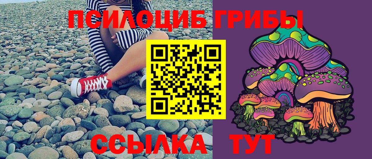 Крымск  Псилоцибиновые грибы Psilocybe  Вход с VPN 